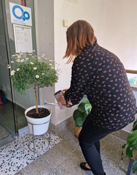 Rastemo v novih prostorih LURA (8)